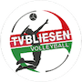 TV Bliesen