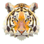 Volley Tigers Ludwigslust