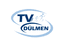TV Dülmen 1884