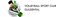 VSC Spike Guldental