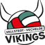Vallstedt Vechelde Vikings